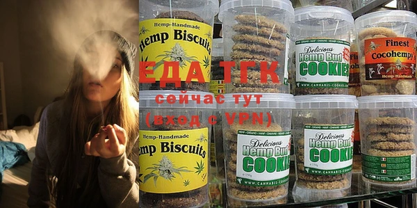 гидра Гусев