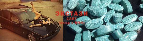 гидра Гусев