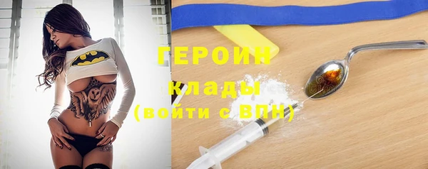 гидра Гусев