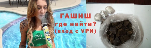 гидра Гусев