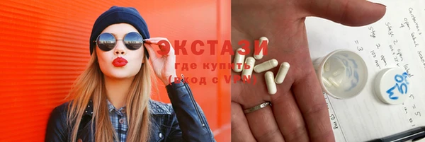 гидра Гусев