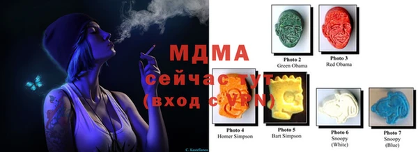 гидра Гусев