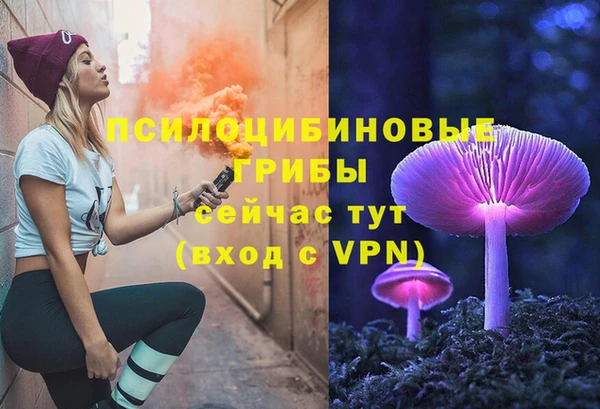 2c-b Гусиноозёрск