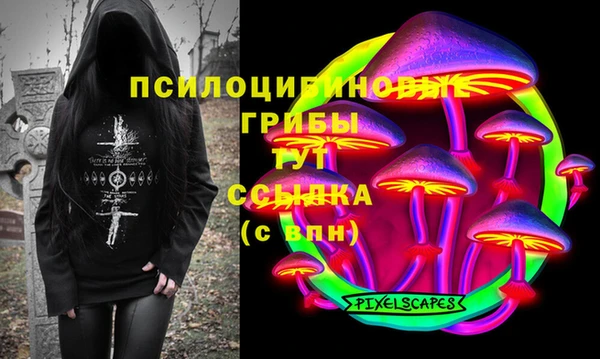 гидра Гусев