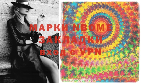 гидра Гусев