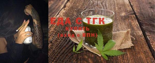 гидра Гусев