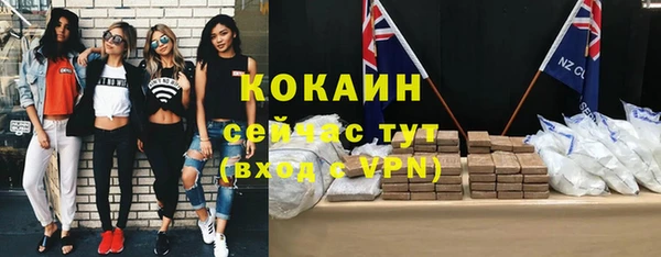 гидра Гусев