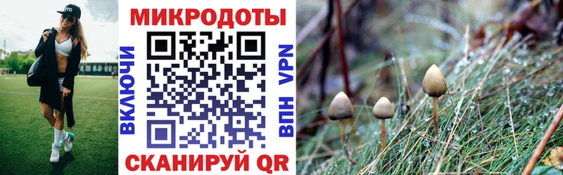 Галлюциногенные грибы GOLDEN TEACHER  Купить  Новая Ляля 